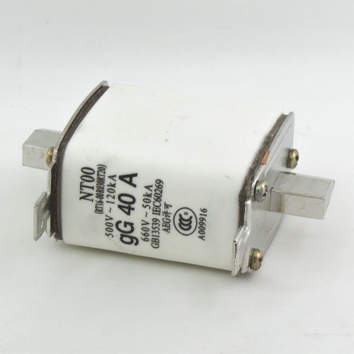 NT00 40A blade ceramic fuse link RT16-00 RO30