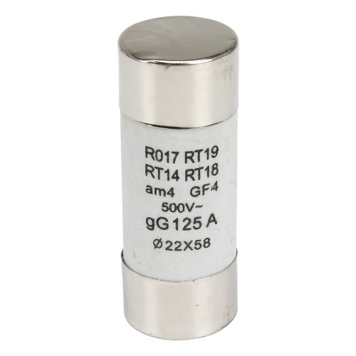 R017 22*58mm 125A 500V ceramic tube fuse