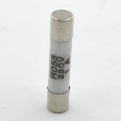 R055 5*25mm 1A 250V ceramic tube fuse