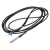 FTARP03 Cu50 6*50mm polish rod probe 3m cable waterproof RTD temperature sensor