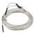 FTARP04 PT100 waterproof anticorrosive type 2B grade 5m FEP silver plated copper cable 4*30mm polish rod probe RTD temperature sensor