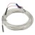 FTARP04 PT100 waterproof anticorrosive type B grade 5m PTFE silver plated copper cable 4*30mm polish rod probe RTD temperature sensor
