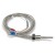 FTARP09 PT100 type M12*1.5 screw thread 5*50mm probe 2m high density metal screening cable RTD temperature sensor