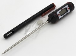 WT-1 digital thermometer
